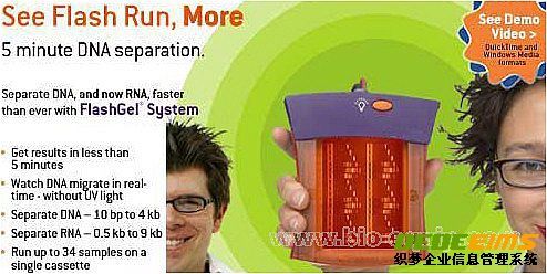 DNA電泳實時檢測預制膠系統