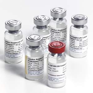 內(nèi)毒素 內(nèi)毒素