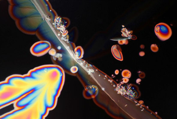 科學家加里·格林伯格使用定制的3D顯微鏡將仙粉黛玫瑰紅酒樣本放大300倍