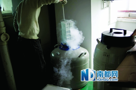 <p>    市二醫(yī)院，從患者血液中分離出的免疫細(xì)胞被存儲(chǔ)在液氮罐里。</p>