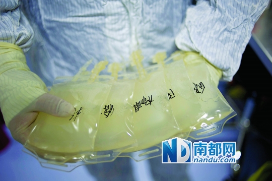 <p>    經(jīng)過培養(yǎng)的細(xì)胞液最終要回輸?shù)交颊唧w內(nèi)。</p>